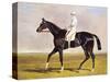 Sir Mark Wood's Racehorse 'Lucetta' with J. Robinson Up-John Frederick Herring I-Stretched Canvas