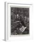 Sir Michael Hicks-Beach, the Chancellor of the Exchequer, Making His Budget Speech-Sydney Prior Hall-Framed Giclee Print