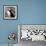 Sir Puffin-Howard Ruby-Framed Photographic Print displayed on a wall