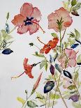Hibiscus Flowerpiece-Sir Roy Calne-Giclee Print