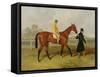 Sir Tatton Sykes (1772-1863) Leading in the Horse 'sir Tatton Sykes', with William Scott Up, 1846-Harry Hall-Framed Stretched Canvas