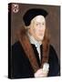 Sir Thomas Exmewe, Lord Mayor 1517, C1550-John Bettes-Stretched Canvas