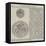 Sir Thomas More's Seals-null-Framed Stretched Canvas