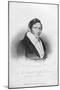 Wood Mount