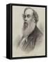 Sir Titus Salt, Baronet, of Saltaire, Yorkshire-null-Framed Stretched Canvas