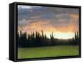 Framed Canvas