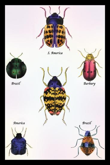 Art Print, , large