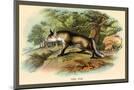Wood Mount