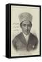 Sirdar Habibullah Khan-null-Framed Stretched Canvas