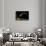 Siren Intermedia (Lesser Siren)-Paul Starosta-Framed Stretched Canvas displayed on a wall
