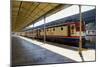 Sirkeci Gar (Central Railway) Railway Station Former Terminal Stop of the Orient Express-Simon Montgomery-Mounted Photographic Print