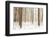 Sis-Viviane Fedieu Daniel-Framed Photographic Print