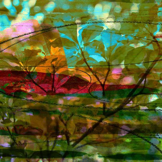 Photographic Print, , large