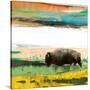 Stretched Canvas