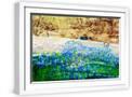 White Frame
