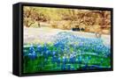 Canvas Black
