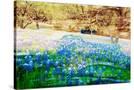 Stretched Canvas