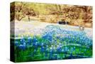 Stretched Canvas