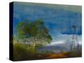 Stretched Canvas