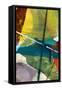 Canvas Black