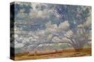 Stretched Canvas