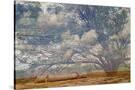 Stretched Canvas