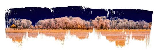 Photographic Print, , large