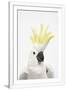Gramercy White