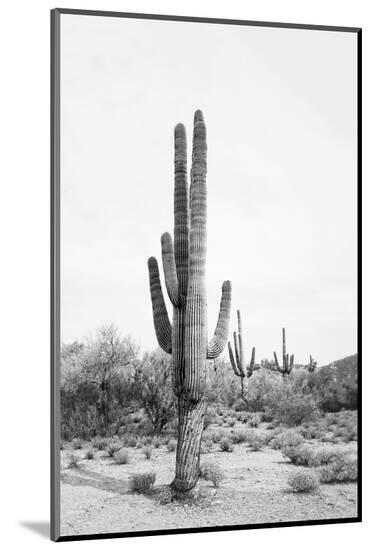 Photo, , large