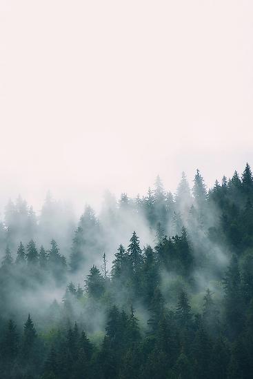 Photo, , large