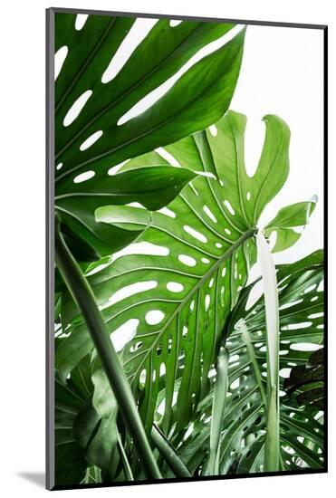 Photo, , large
