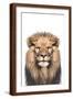 Brown Frame