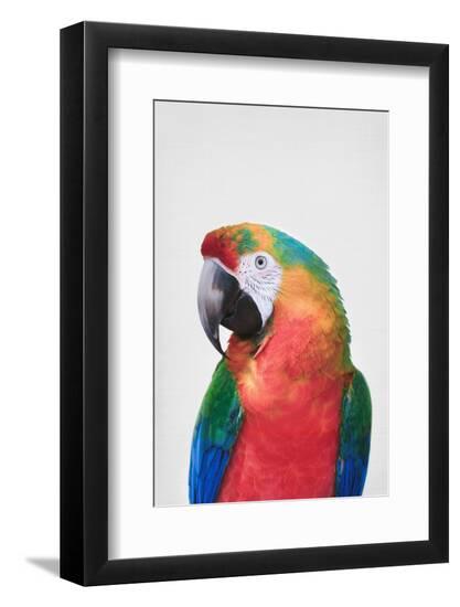 Photo, , large