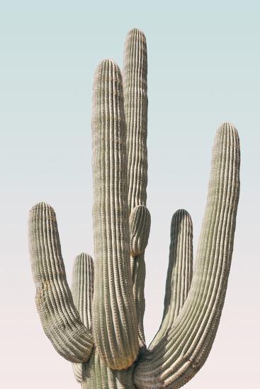 Photo, , large
