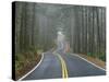Sisiyou National Forest Oregon, USA-Charles Gurche-Stretched Canvas