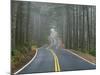 Sisiyou National Forest Oregon, USA-Charles Gurche-Mounted Photographic Print