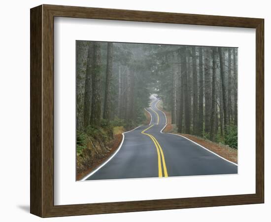 Sisiyou National Forest Oregon, USA-Charles Gurche-Framed Photographic Print