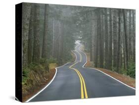Sisiyou National Forest Oregon, USA-Charles Gurche-Stretched Canvas