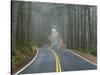 Sisiyou National Forest Oregon, USA-Charles Gurche-Stretched Canvas