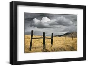 Siskiyou County Landscape-David Winston-Framed Giclee Print