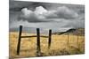 Siskiyou County Landscape-David Winston-Mounted Giclee Print