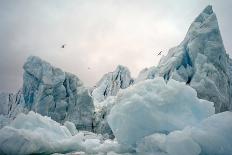 Iceland: Fjord in Wintertime Just North of Reykjavik, 2022 (Photo)-Sisse Brimberg-Giclee Print