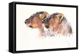 Sisters, Etosha, 2017,-Mark Adlington-Framed Stretched Canvas