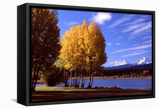 Sisters in Autumn III-Ike Leahy-Framed Stretched Canvas