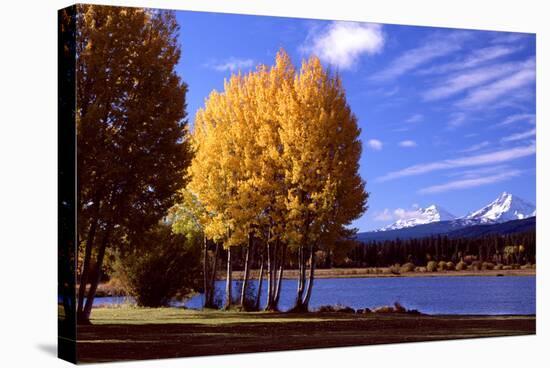 Sisters in Autumn III-Ike Leahy-Stretched Canvas