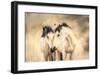 Sisters-Wendy Caro-Framed Giclee Print