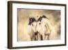 Sisters-Wendy Caro-Framed Giclee Print