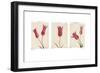 Sisters-Amy Melious-Framed Art Print