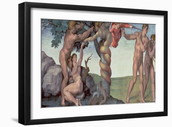 Sistine Chapel Ceiling (1508-12): the Fall of Man, 1510 (Post Restoration)-Michelangelo Buonarroti-Framed Giclee Print