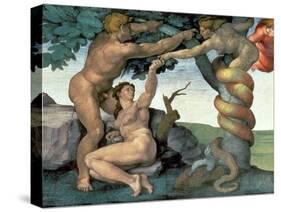 Sistine Chapel Ceiling (1508-12): the Fall of Man, 1510 (Post Restoration)-Michelangelo Buonarroti-Stretched Canvas